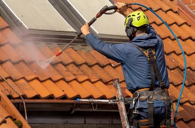 Démoussage et hydrofuge de toiture à Roggenhouse